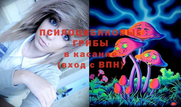 а пвп мука Кукмор