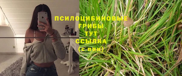 а пвп мука Кукмор