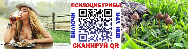 Галлюциногенные грибы мухоморы  Цивильск 